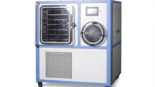 Fruit Freeze Dryer Machine | Shaanxi Achieve chem-tech Fruit Freeze Dryer Machine | Shaanxi Achieve chem-tech